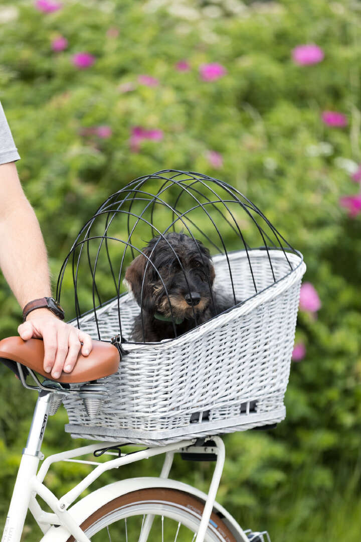 TRIXIE Hunde-Fahrradkorb für Gepäckträger